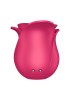 Satisfyer Pro 2 Modern Blossom