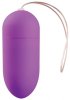 Vibrating Wireless Egg Big Purple