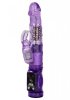 Petite Jack Rabbit, Purple