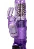 Petite Jack Rabbit, Purple