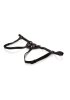 The Countess Harness