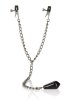 Weighted Nipple Clamps