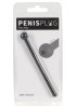 Penisplugg Piss Play
