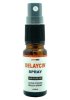 Delaycin Fördröjningsspray 10 ml