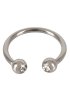 Glans Ring, Silver