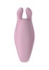 Teazers Couple vibrator