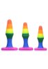 Silicone Rainbow Anal Trainer Set