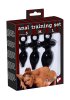 Anal Training Set