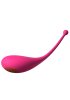 Palpitation Vibrating Egg, Appstyrd