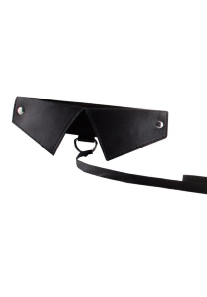 Ouch! Exclusive Collar & Leash