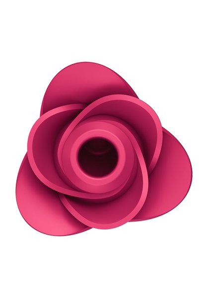 Satisfyer Pro 2 Modern Blossom