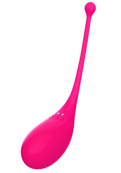 Palpitation Vibrating Egg, Appstyrd