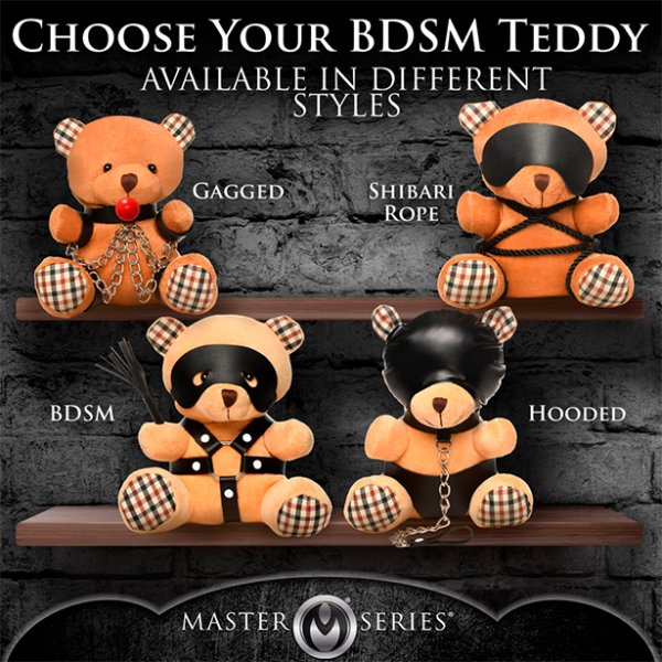 Gagged Bondage Bear