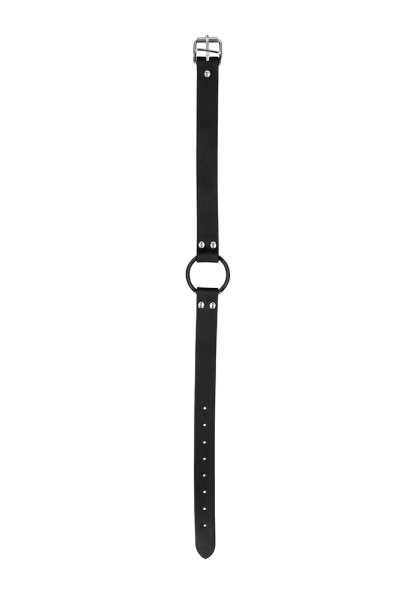 O-Ring Gag with Nipple Clamps